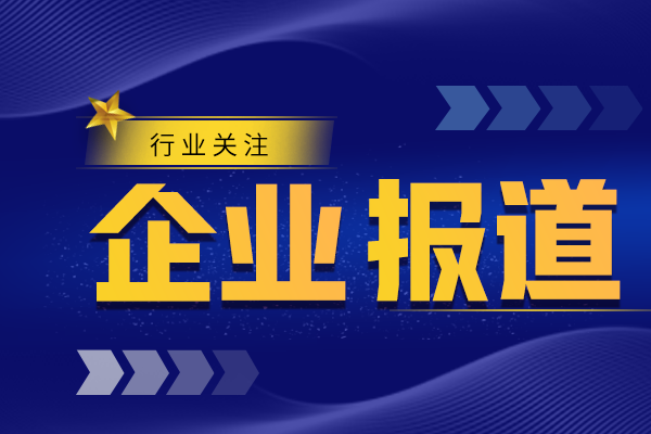偏心半球閥-手動偏心半球閥-不銹鋼偏心半球閥